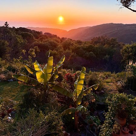 Cefalu Forest Hideout Esterno foto