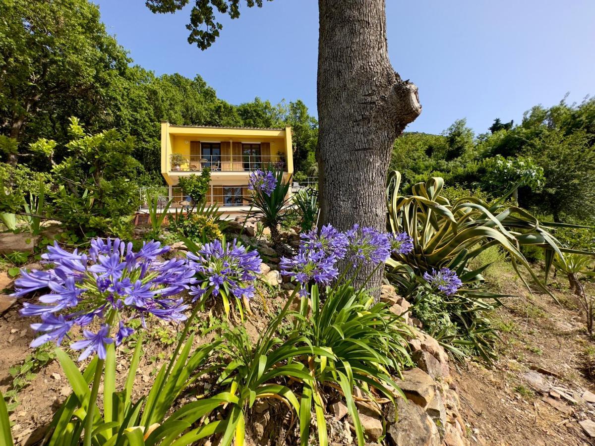 Cefalu Forest Hideout Esterno foto