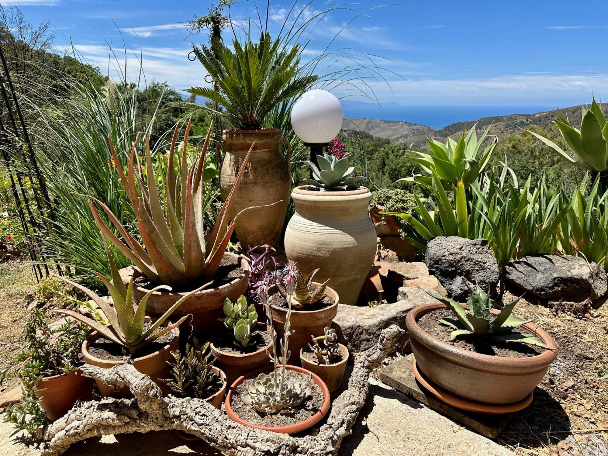 Cefalu Forest Hideout Esterno foto